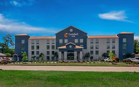 Comfort Inn Conroe